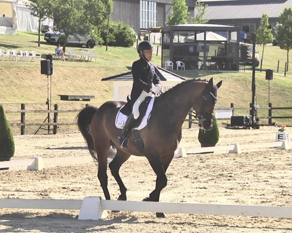 FEI Reitturnier Leudelange (LUX) 2019