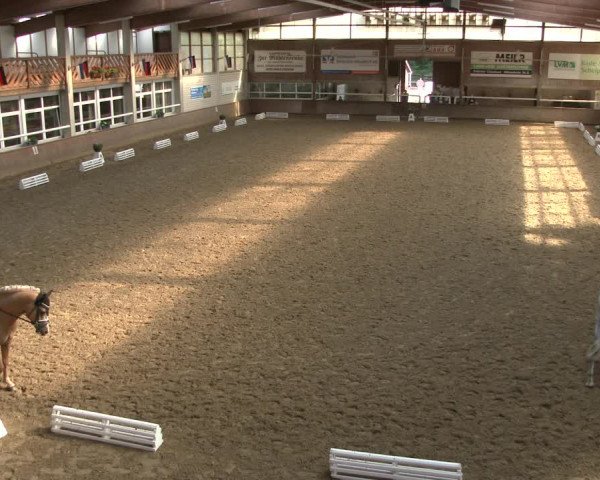 Reitturnier Delbrück-Ostenland 2019
