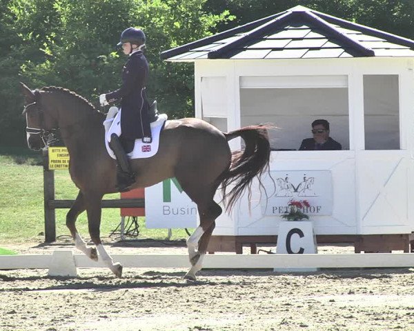 FEI Reitturnier Leudelange (LUX) 2019