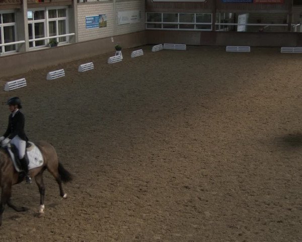 Reitturnier Delbrück-Ostenland 2019