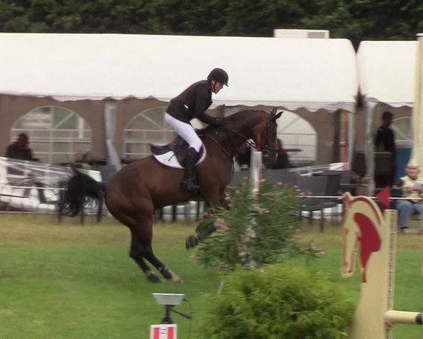 Reitturnier Hanerau-Hademarschen 2019