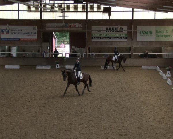 Reitturnier Delbrück-Ostenland 2019