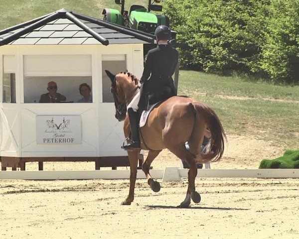 FEI Reitturnier Leudelange (LUX) 2019