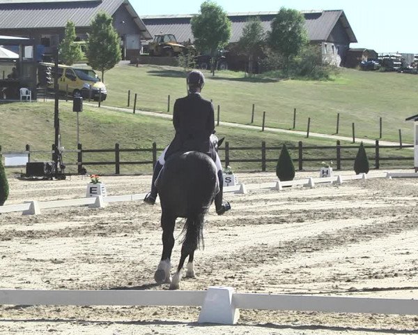 FEI Reitturnier Leudelange (LUX) 2019