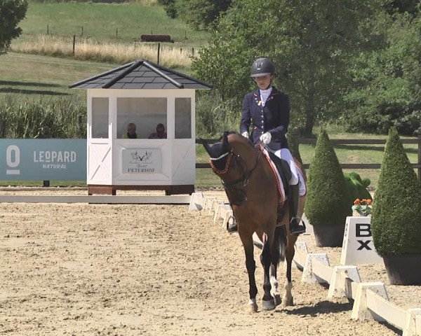 FEI Reitturnier Leudelange (LUX) 2019