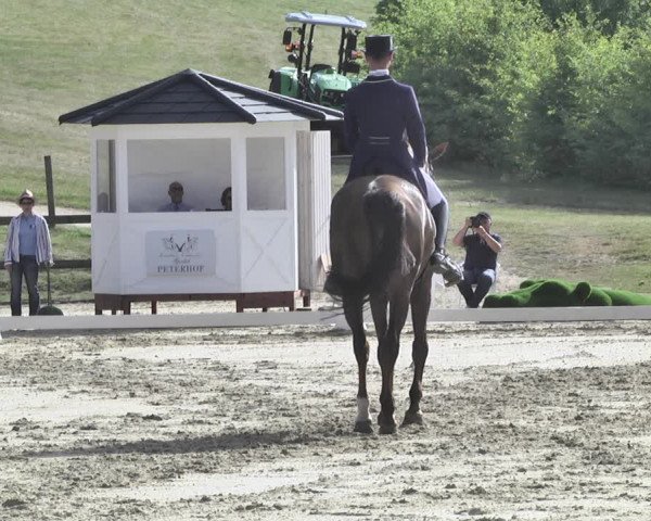 FEI Reitturnier Leudelange (LUX) 2019