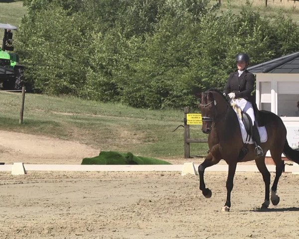FEI Reitturnier Leudelange (LUX) 2019