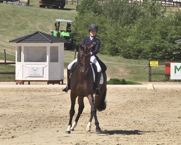 FEI Reitturnier Leudelange (LUX) 2019