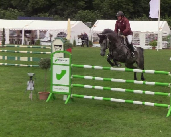 Reitturnier Hanerau-Hademarschen 2019