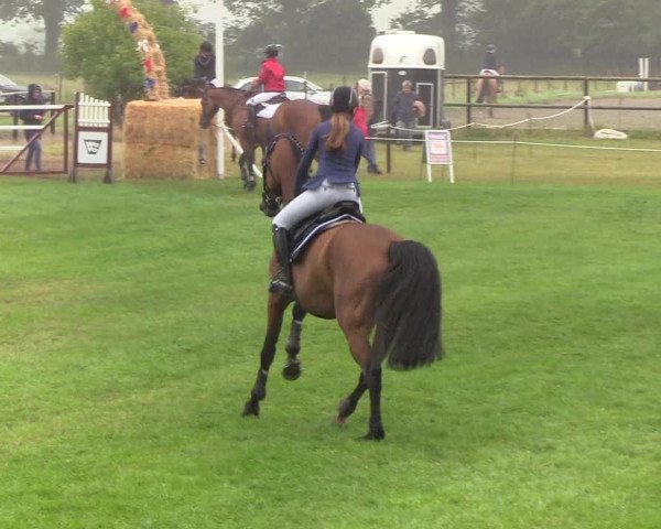 Reitturnier Hanerau-Hademarschen 2019