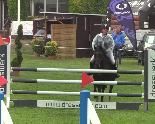 Reitturnier Hanerau-Hademarschen 2019