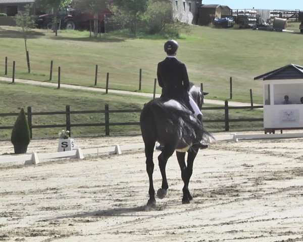 FEI Reitturnier Leudelange (LUX) 2019