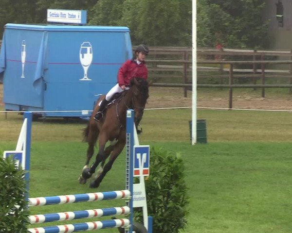 Reitturnier Hanerau-Hademarschen 2019
