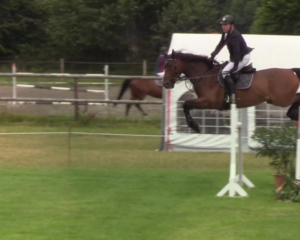 Reitturnier Hanerau-Hademarschen 2019