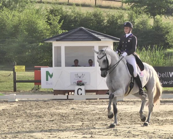 FEI Reitturnier Leudelange (LUX) 2019