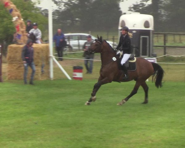 Reitturnier Hanerau-Hademarschen 2019