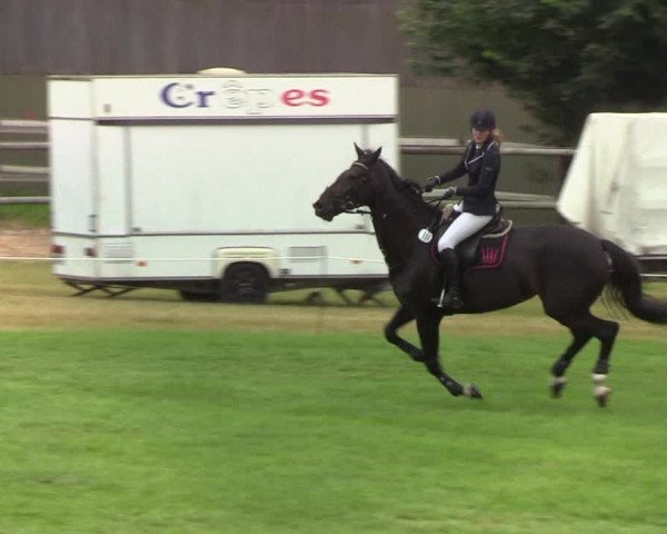 Reitturnier Hanerau-Hademarschen 2019