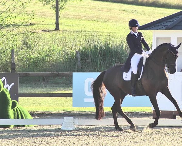 FEI Reitturnier Leudelange (LUX) 2019