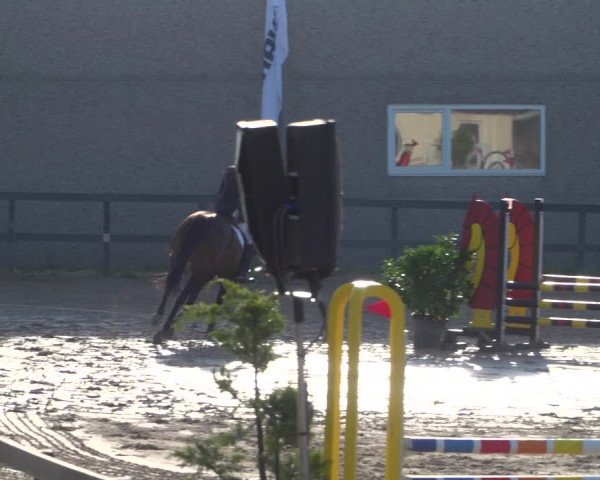 Reitturnier Kalenborn Hegehof 2019