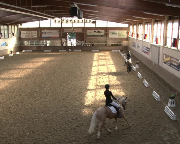 Reitturnier Delbrück-Ostenland 2019