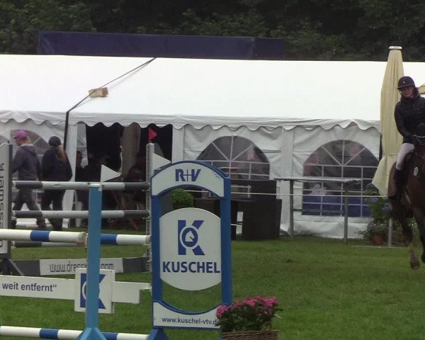 Reitturnier Hanerau-Hademarschen 2019