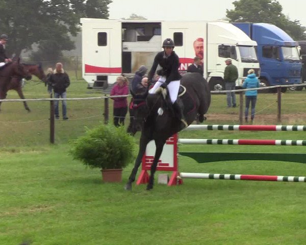 Reitturnier Hanerau-Hademarschen 2019