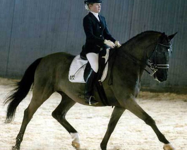 dressage horse Kempinski (Trakehner, 1986, from Fahnentraeger II)