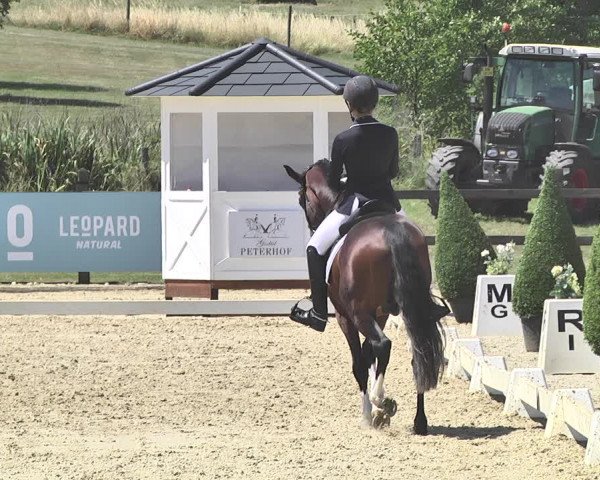 FEI Reitturnier Leudelange (LUX) 2019