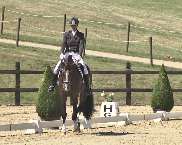 FEI Reitturnier Leudelange (LUX) 2019