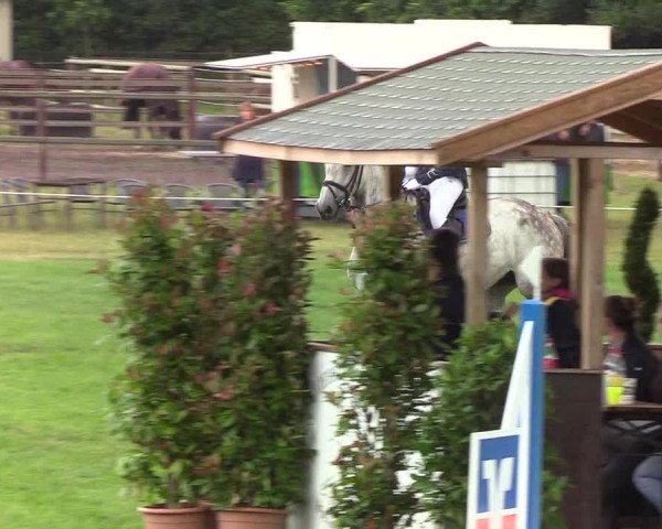 Reitturnier Hanerau-Hademarschen 2019