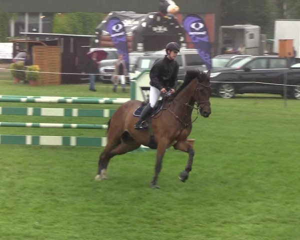 Reitturnier Hanerau-Hademarschen 2019