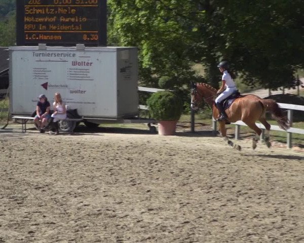 Reitturnier Kalenborn Hegehof 2019