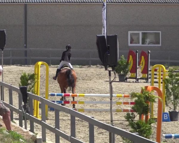 Reitturnier Kalenborn Hegehof 2019