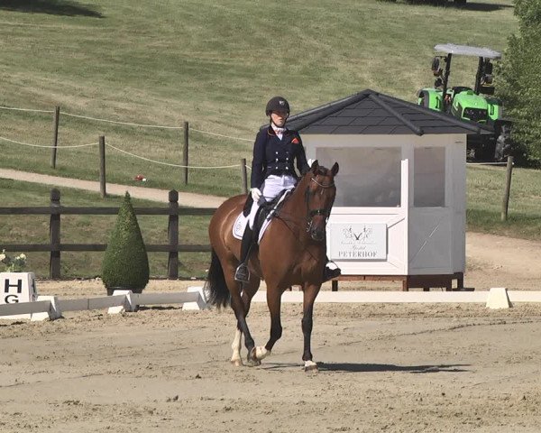 FEI Reitturnier Leudelange (LUX) 2019