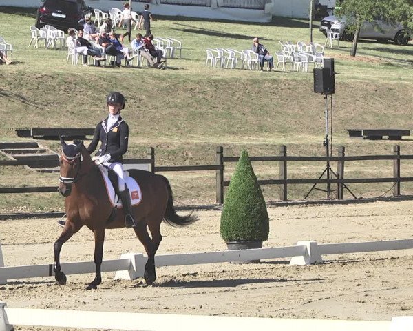 FEI Reitturnier Leudelange (LUX) 2019