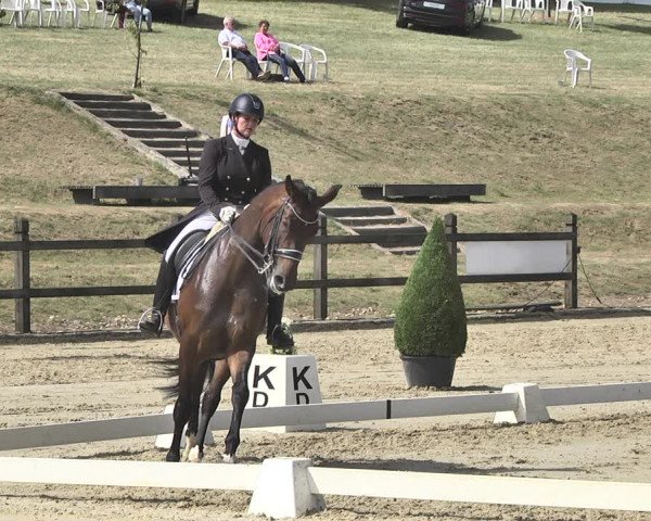 FEI Reitturnier Leudelange (LUX) 2019