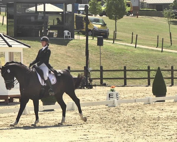 FEI Reitturnier Leudelange (LUX) 2019