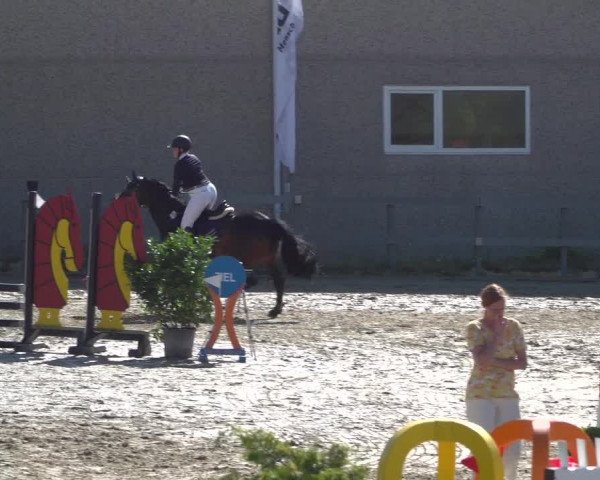 Reitturnier Kalenborn Hegehof 2019
