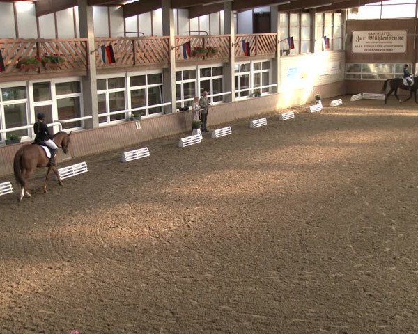Reitturnier Delbrück-Ostenland 2019