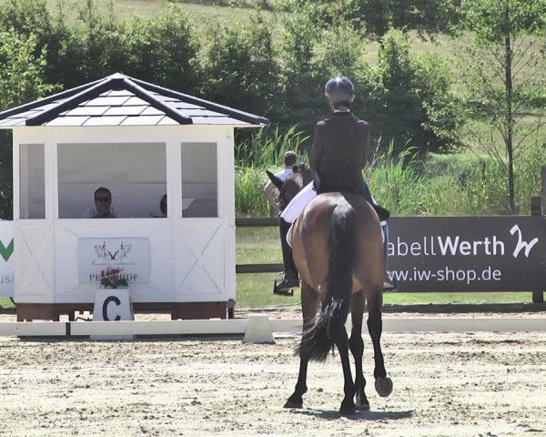 FEI Reitturnier Leudelange (LUX) 2019