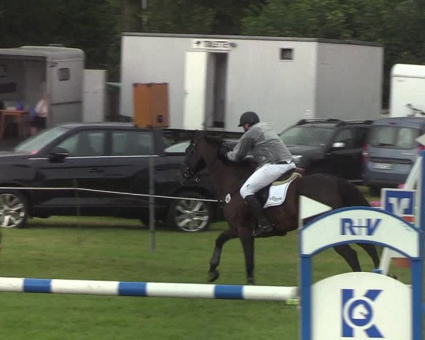 Reitturnier Hanerau-Hademarschen 2019