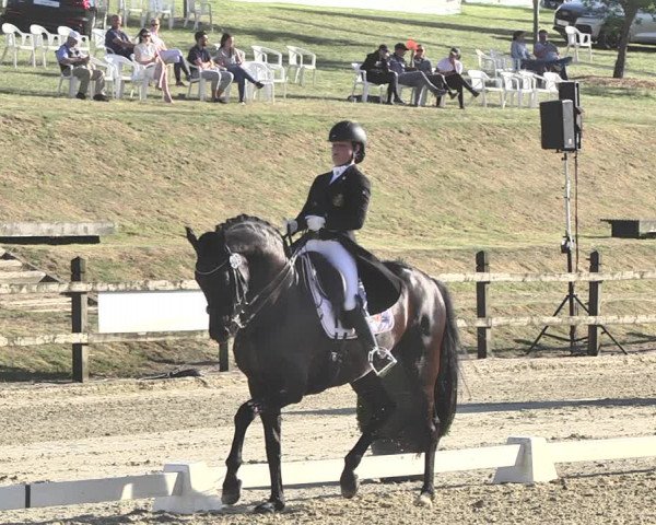 FEI Reitturnier Leudelange (LUX) 2019