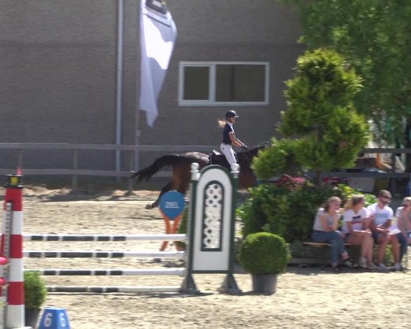 Reitturnier Kalenborn Hegehof 2019
