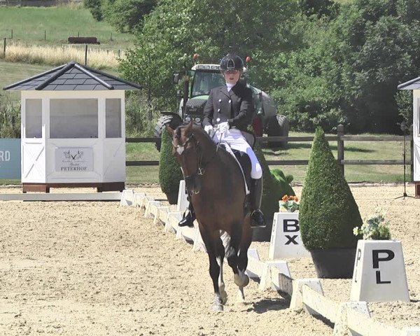 FEI Reitturnier Leudelange (LUX) 2019