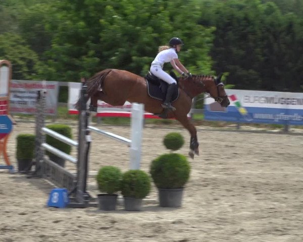 Reitturnier Kalenborn Hegehof 2019