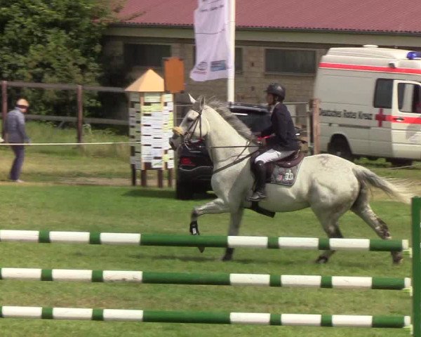 Reitturnier Hanerau-Hademarschen 2019