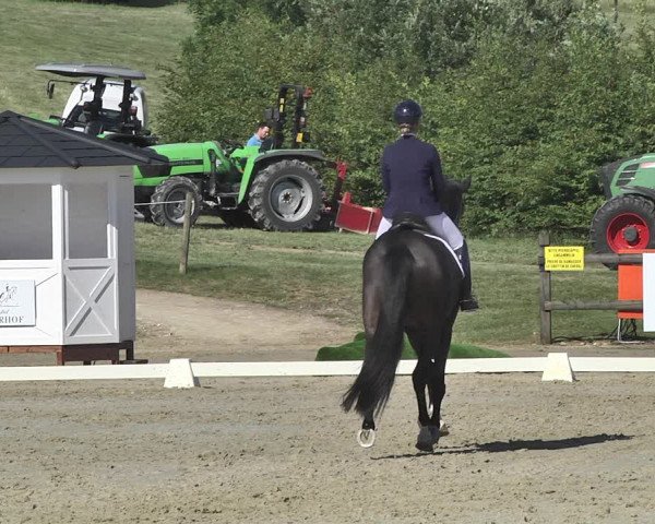 FEI Reitturnier Leudelange (LUX) 2019