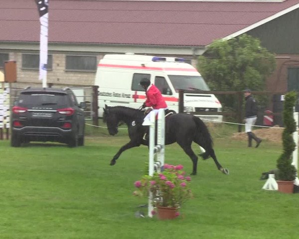 Reitturnier Hanerau-Hademarschen 2019
