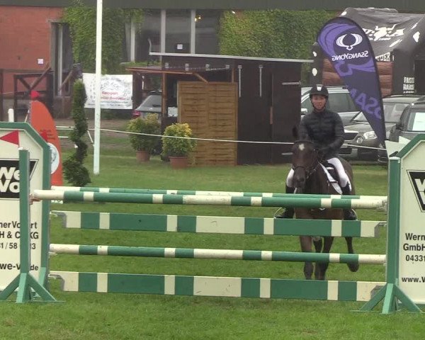 Reitturnier Hanerau-Hademarschen 2019