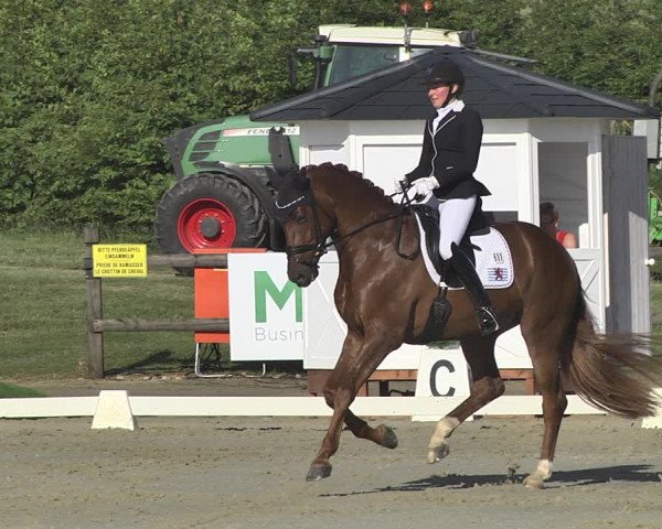 FEI Reitturnier Leudelange (LUX) 2019